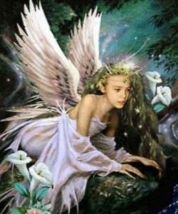 angel