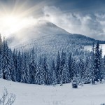 дверь в новую реальность
